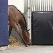 Kentucky Kick Pad Stall and Transport Protection