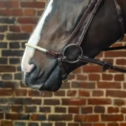 Dyon Rope Crank Noseband