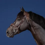 Dyon Anatomic Flash Noseband Bridle