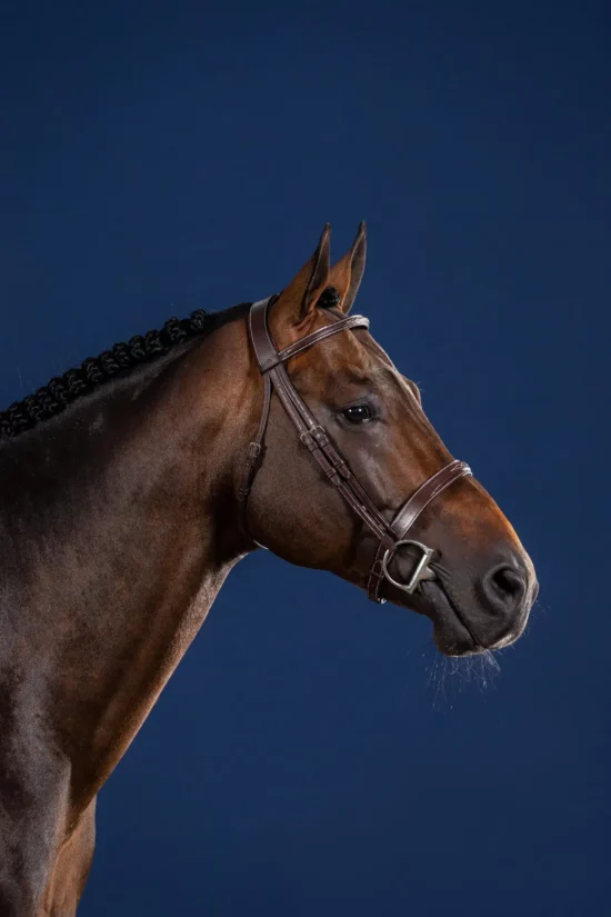 Dyon Cavesson Hunter Noseband