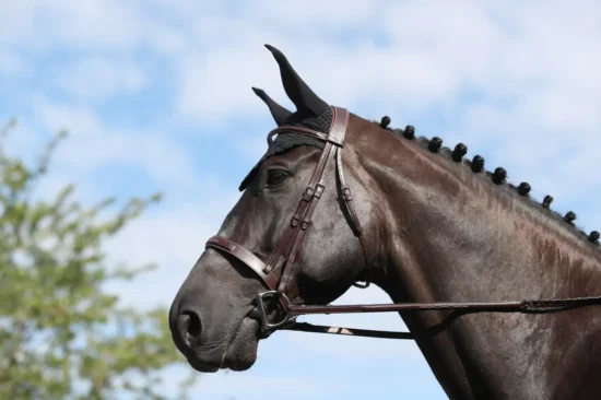 Dyon Cavesson Hunter Noseband