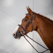 Dyon Cavesson Hunter Noseband