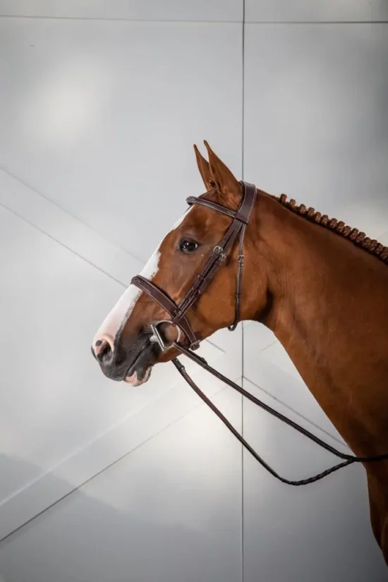 Dyon Cavesson Hunter Noseband