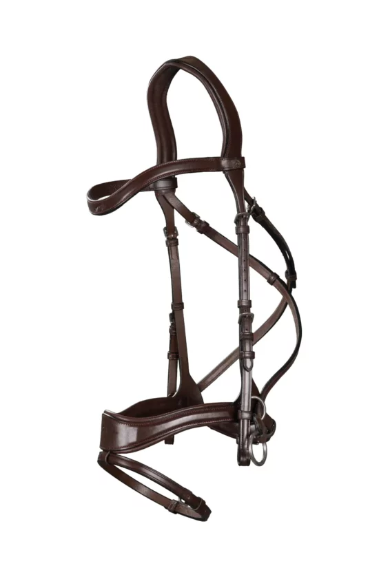 Dyon D Motion Bridle