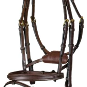 Dyon Difference Bridle