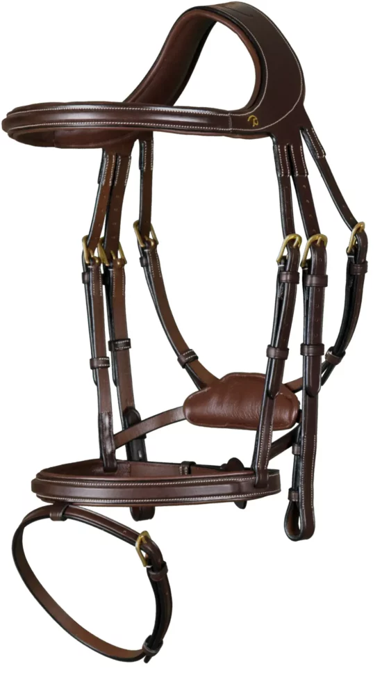 Dyon Difference Bridle