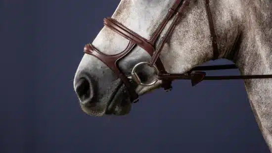 Dyon Double Noseband