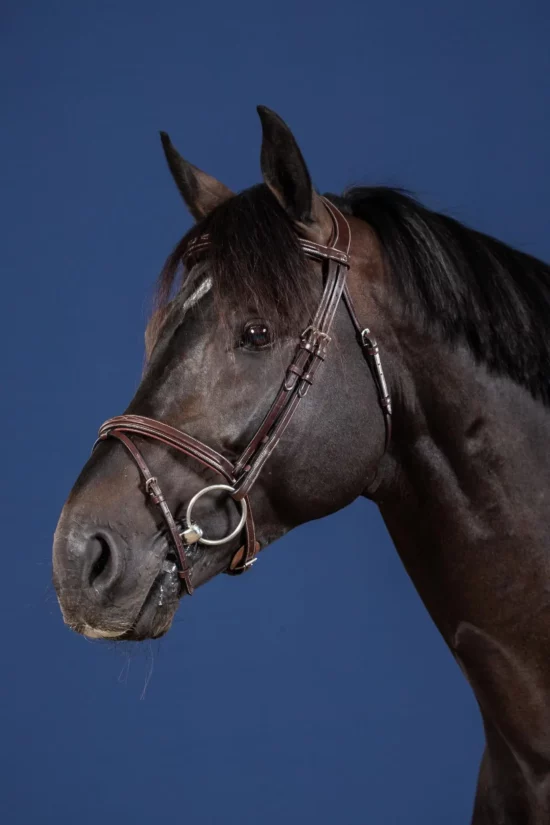 Dyon Flash Noseband Bridle