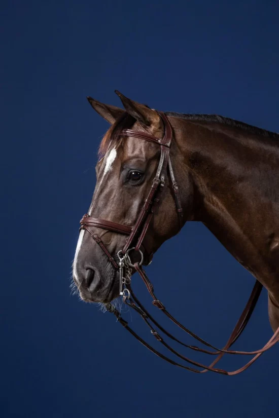 Dyon Flash Noseband Double Bridle