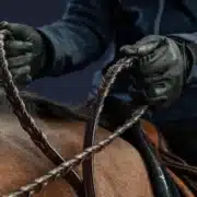 Dyon Laced Reins