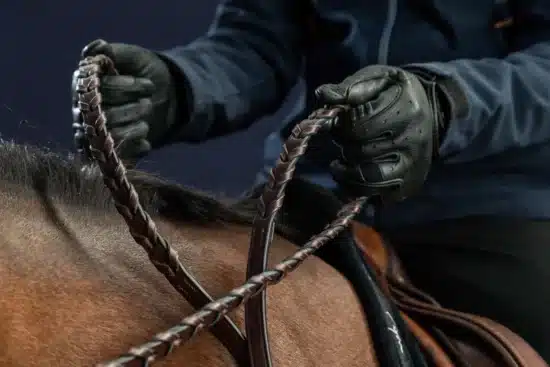 Dyon Laced Reins