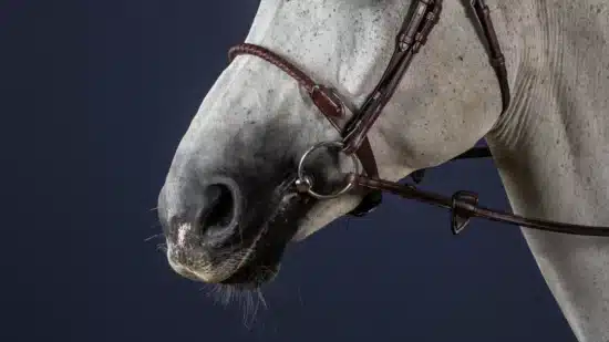 Dyon Leather Covered Rope Noseband