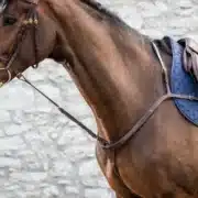 Dyon Standing Martingale Attachment