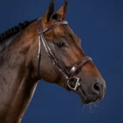 Dyon Wide Noseband Hunter Bridle