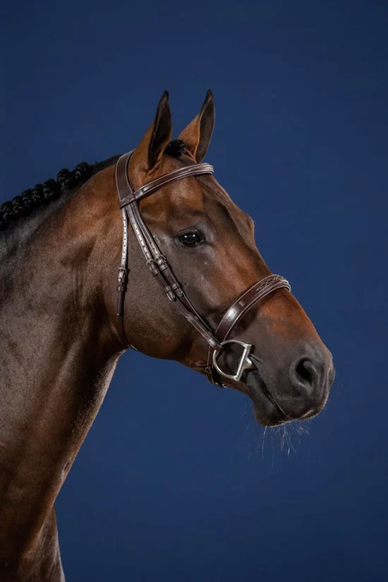 Dyon Wide Noseband Hunter Bridle