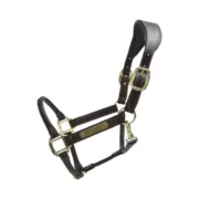 Kentucky Anatomic Leather Halter