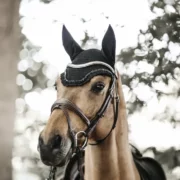 Kentucky Bonnet Fly Veil Wellington Stone Pearl