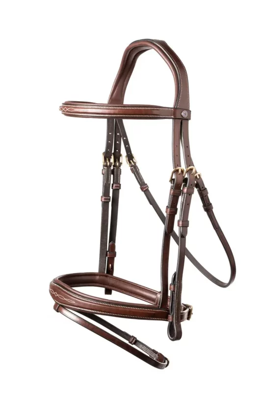 Trust Bridle "Amsterdam" - Brown/Gold