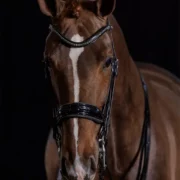 Schockemohle Sports Double Bridle Dressage "Milan Glam"