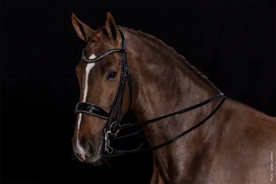 Schockemohle Sports Double Bridle Dressage "Milan Glam"