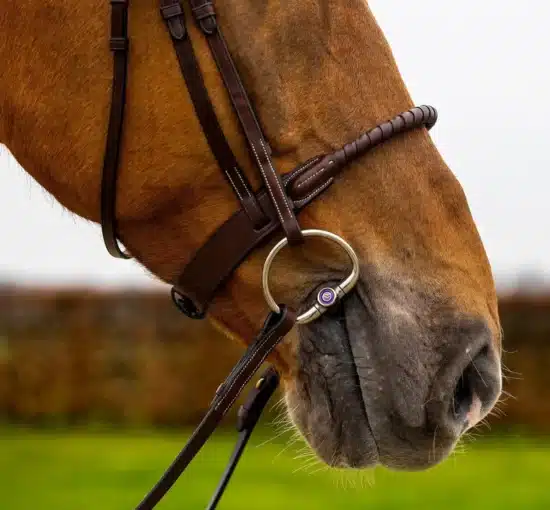 Trust Bridle Rope Noseband