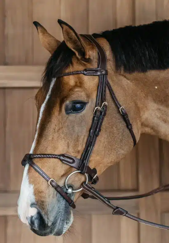 Dyon Braided Noseband Bridle with Flash