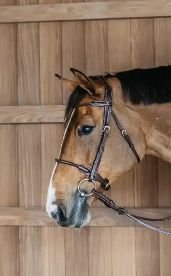 Dyon Braided Noseband Bridle with Flash