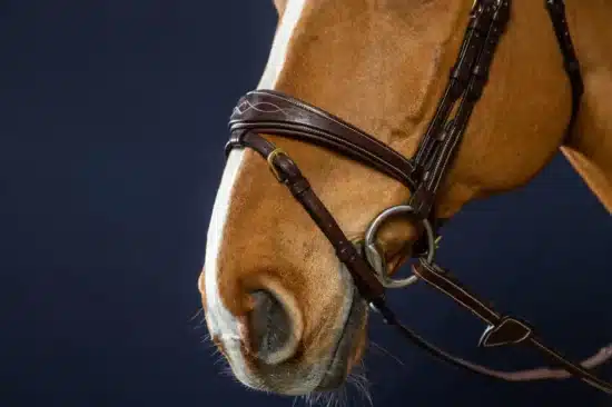 Dyon Bridle Anatomic Flash Noseband Gold/Brass Hardware