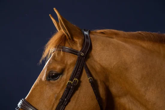 Dyon Bridle Anatomic Flash Noseband Gold/Brass Hardware