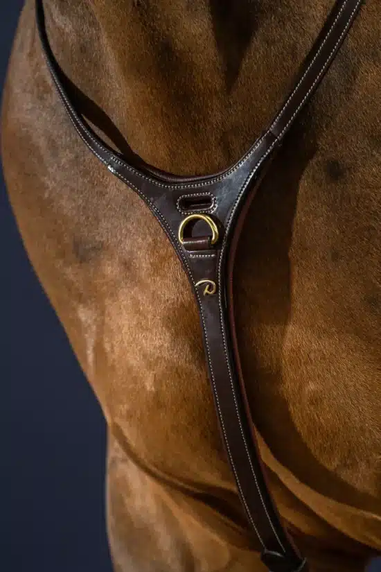 Dyon Yoke Martingale