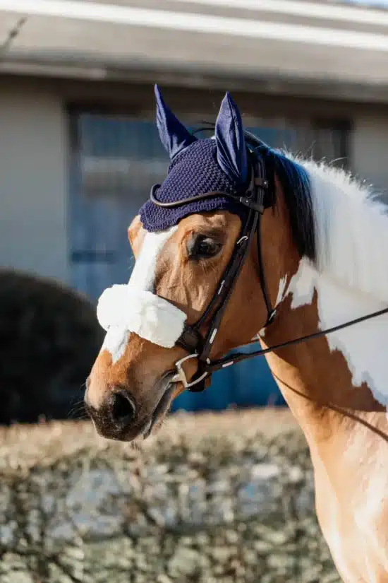 Kentucky Fly Veil - Navy