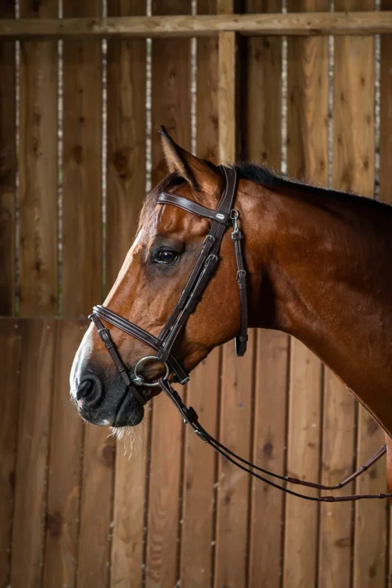 Dyon Flash Noseband Bridle with Snap Hooks