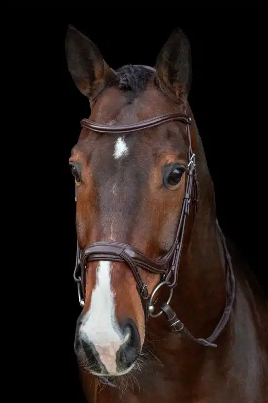 Show Jumping Bridle with Combined Noseband "Ancona Select"