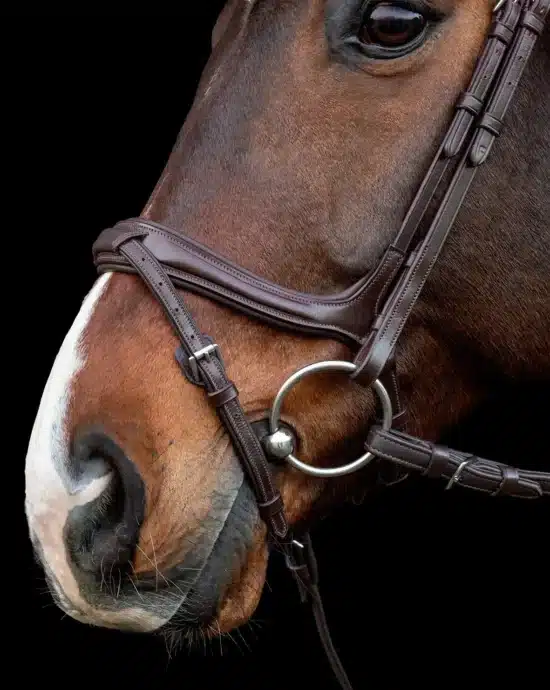 Show Jumping Bridle with Combined Noseband "Ancona Select"
