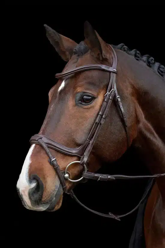 Show Jumping Bridle with Combined Noseband "Ancona Select"