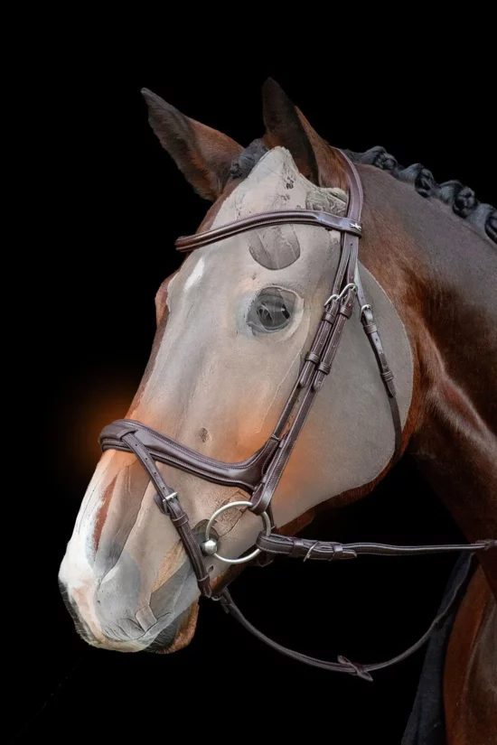 Show Jumping Bridle with Combined Noseband "Ancona Select"