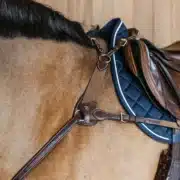 Dyon 5 Point Breastplate with Elastic and Shoulder Pads