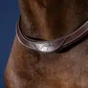 Dyon Breastcollar