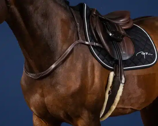 Dyon Breastcollar