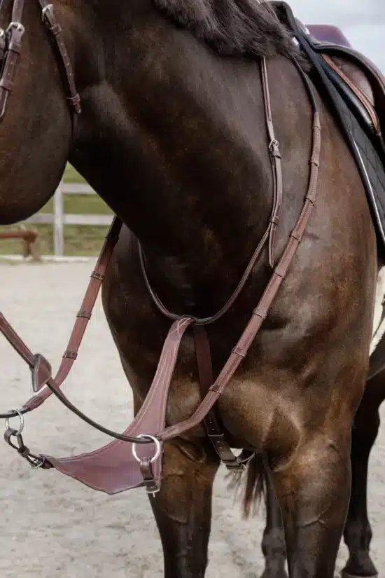 Dyon Soft Bib Martingale