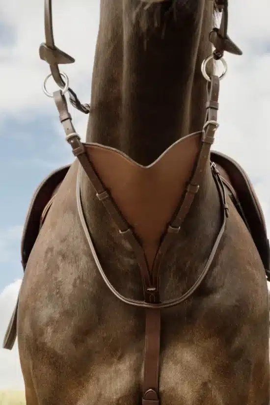 Dyon Soft Bib Martingale